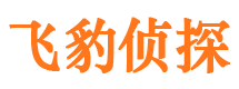 河津私家侦探